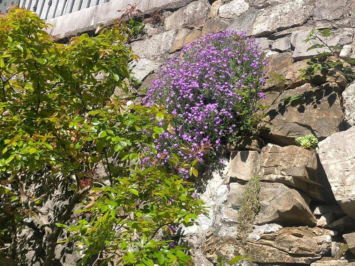 Villa Torre Del Grifone Nel Medioevo Di Cividale Del Friuli Faedis Exterior foto